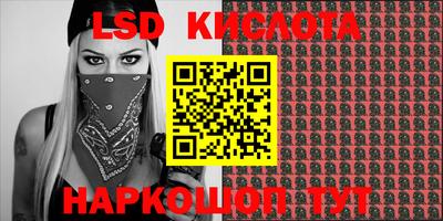 прущие грибы Ярославль