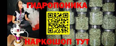 прущие грибы Ярославль