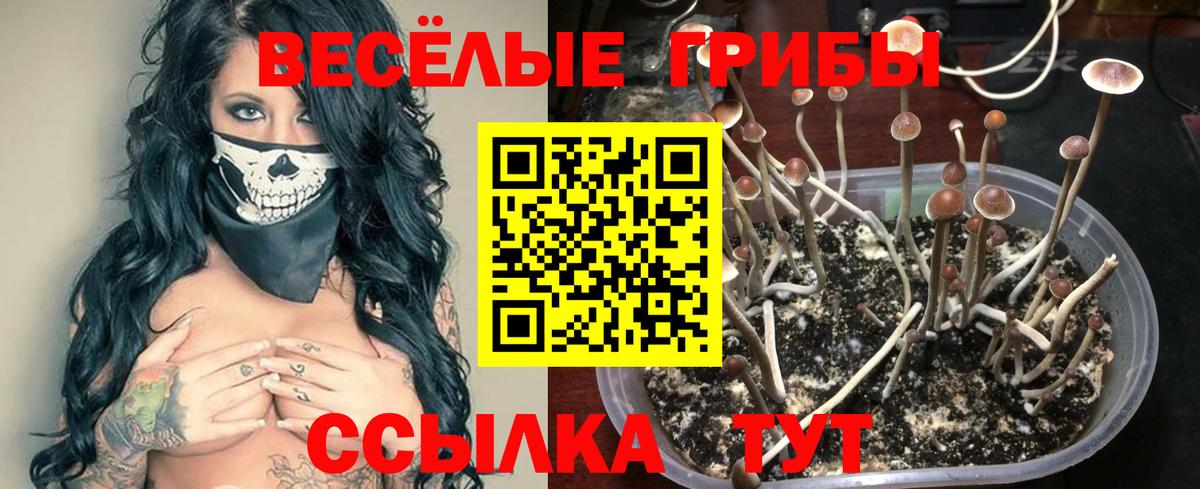 Псилоцибиновые грибы ЛСД Ачхой-Мартан